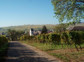 Гостиница gîtes au domaine Greiner  Мителвире